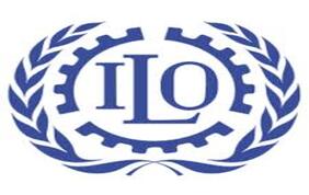 International  Labor Organization